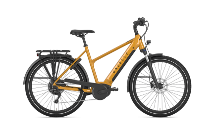 Gazelle Medeo T10 HMB da 50cm